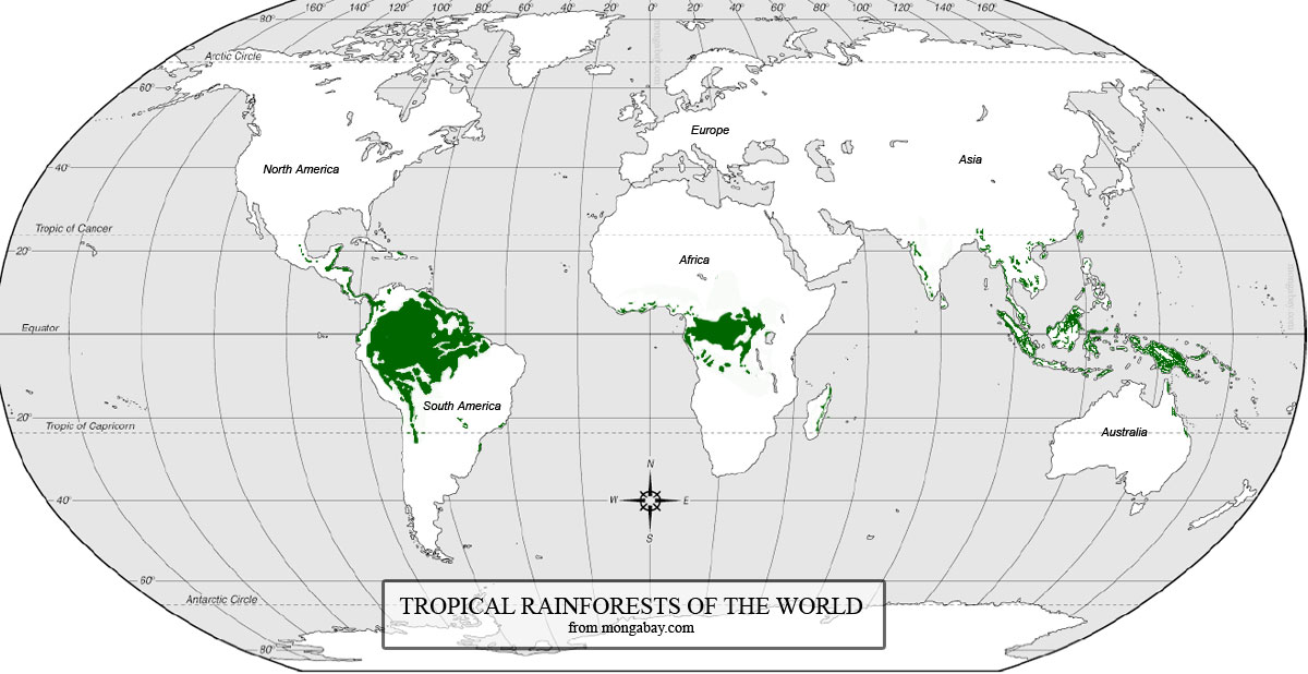 Hol helyezkednek el a trópusi esőerdők a Földön? 