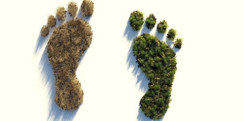 Ökológiai lábnyom