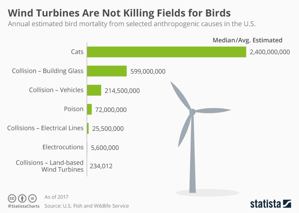Nem is madárgyilkosak a szélerőművek.