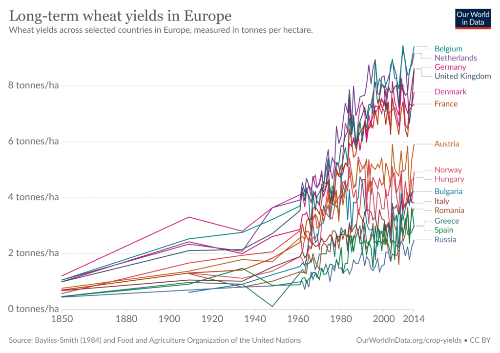 A búza termésátlaga sokszorosára nőtt pár száz év alatt Európában, hála a fejlődésnek