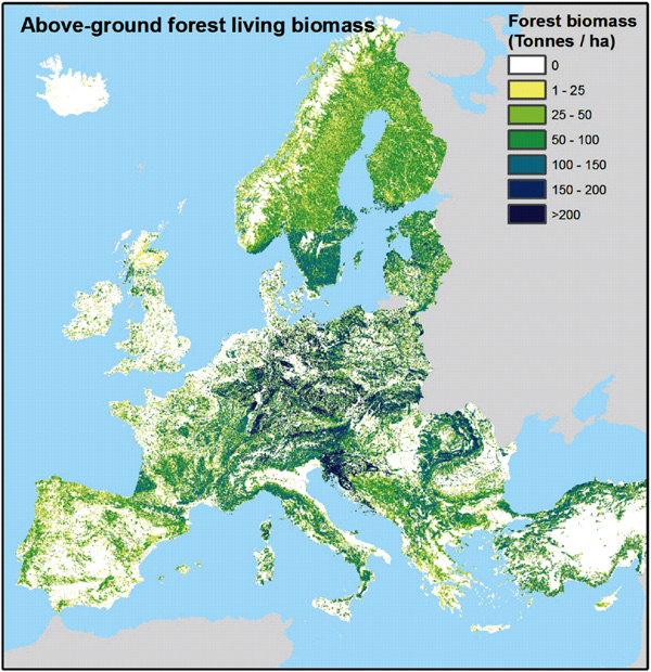 Európai erdősségei együttvéve 10 milliárd tonna szenet tartalmaznak, ez 9 évnyi CO2 kibocsátásnak felel meg. Kép forrása: ec.europa.eu