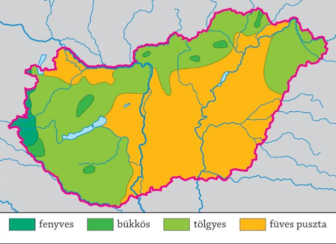 Magyarország őshonos, tájjellegű növényzeti típusai. Forrás: nkp.hu