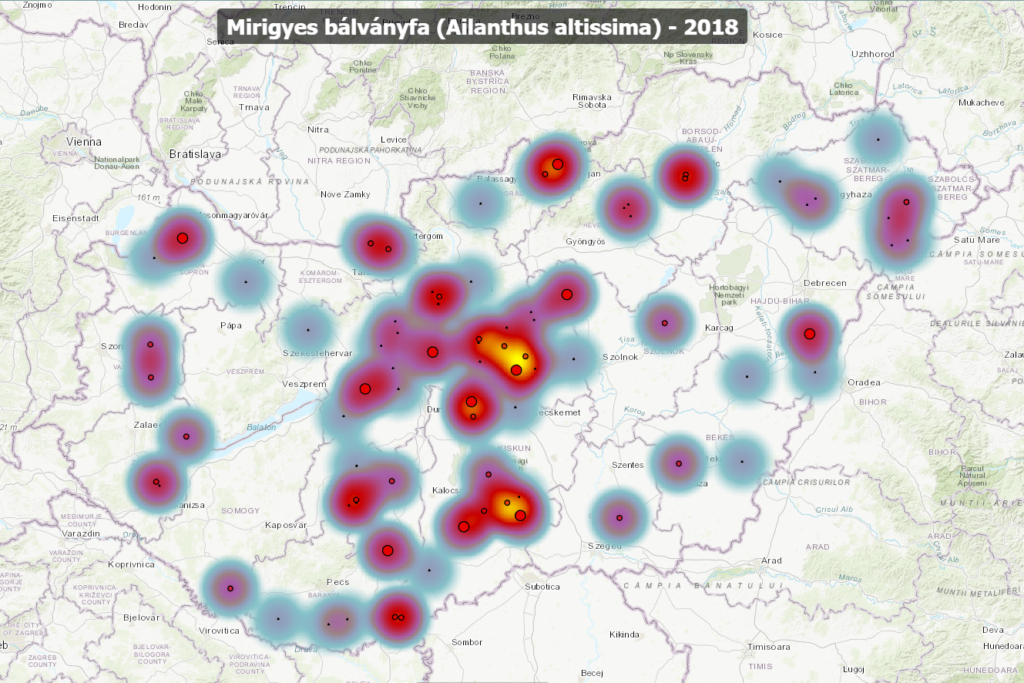 Mirigyes bálványfa elterjedtsége az országban, 2018-ban. Kép forrása: Szegedi Tudományegyetem