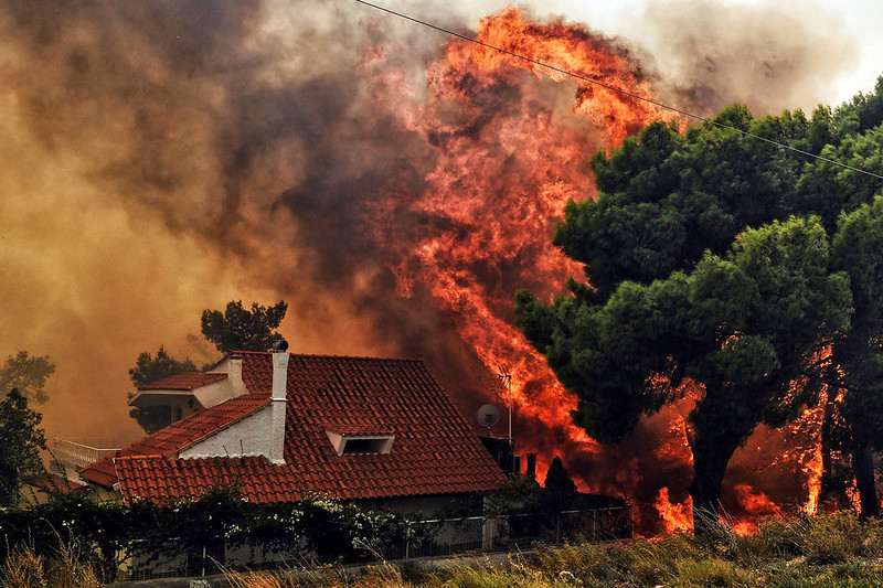 Lángol az erdő Görögországban, 2021 augusztusában. Kép forrása: Felton Davies