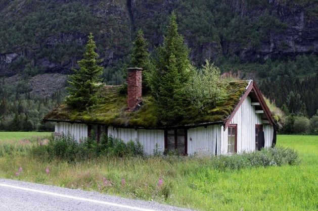 Ez is zöldtető. Skandináviában az őskorig visszavezethető hagyomány a háztetők fűvel való beborítása. Kép: amusingplanet.com