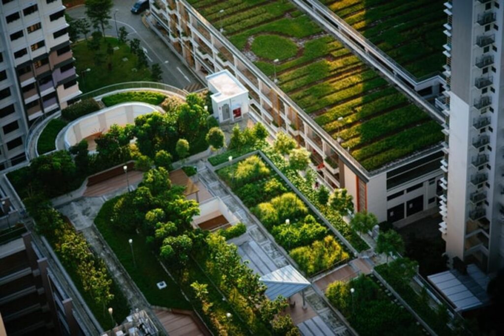 A zöldtetők a városi infrastruktúra megzavarása nélkül egészítik ki a hagyományos növényzetet. Kép: construction21.org