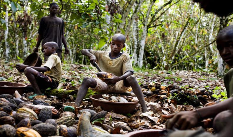 Gyermekmunkások. A kép talán provokatív, de sajnálatos módon sok helyen ez a jelen igaz és keserű valósága. Ezen igyekszik változtatni a Fairtrade gyakorlata. Kép: greenerideal.com