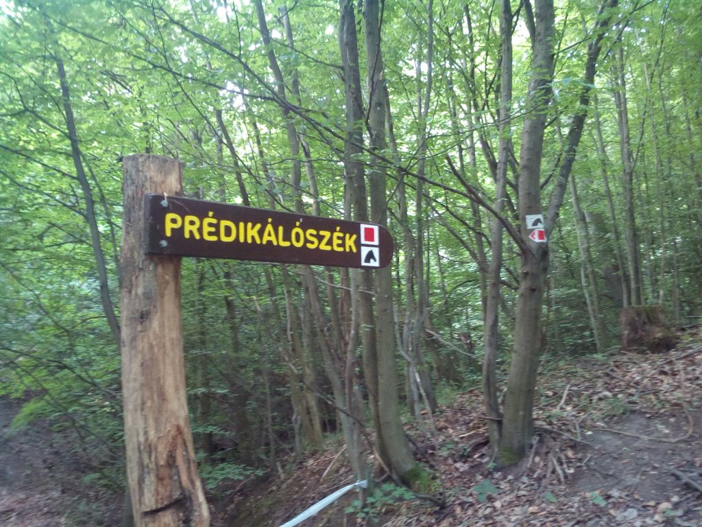 A Prédikálószék természetvédelmi terület, a Pilisi Bioszféra Rezervátum magterülete. Kép: parkerdo.hu