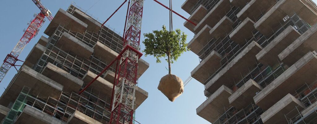 Egy földlabdás fa hamarosan a helyére kerül. Kép forrása: worldgbc.org