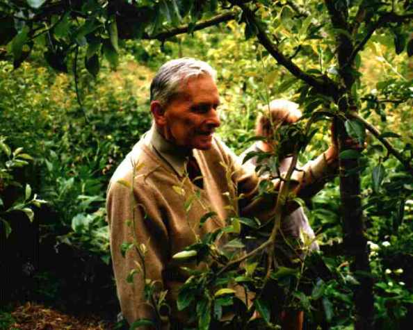 Robert Hart, az erdőkert megálmodója. Kép: spiralseed.co.uk