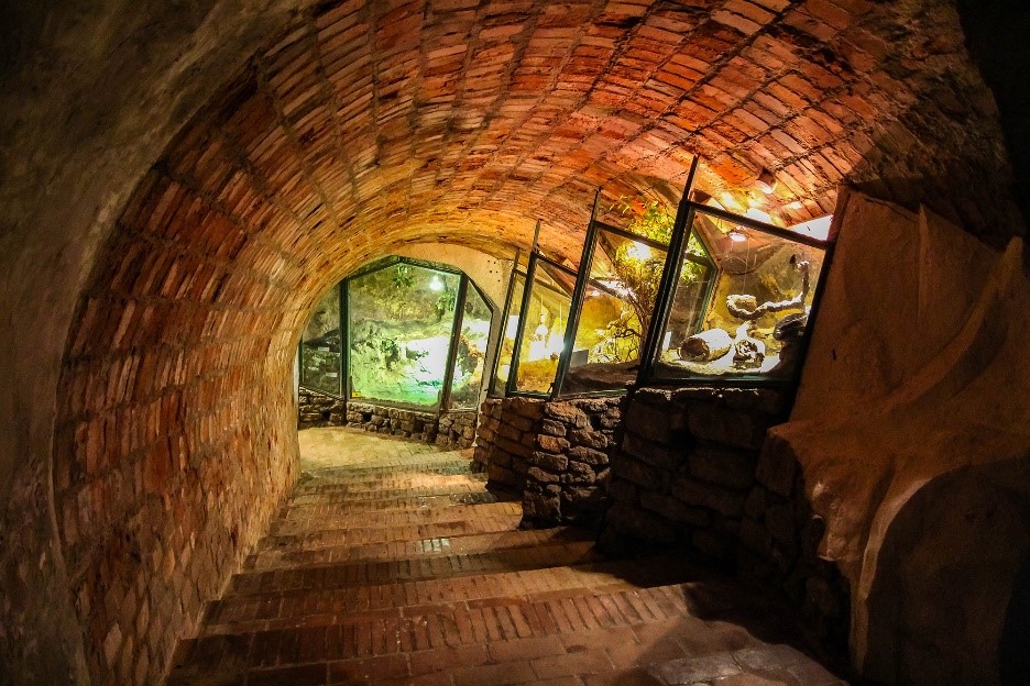 Az Akvárium-Terrárium közel 160 fajt bemutató, egyedi hangulatú része 10 méterrel a föld alatt egy középkori pincerendszerben került kiépítésre. 