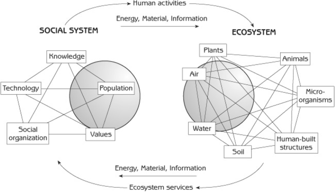 Az emberi társadalmi rendszer és az ökoszisztéma kölcsönhatása. Kép forrása: gerrymarten.com