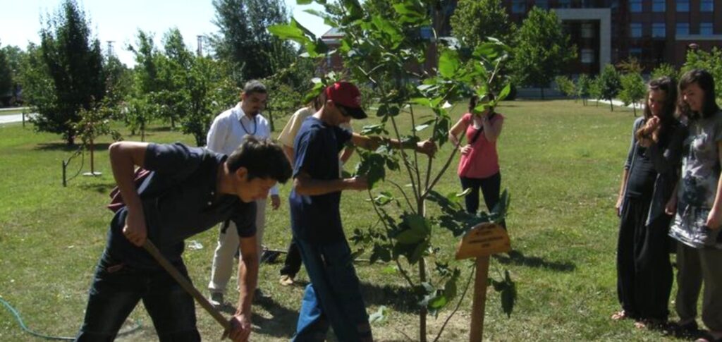 Az ELTE humánökológia szak hallgatói fákat ültetnek. Kép forrása: humanokologia.tatk.elte.hu