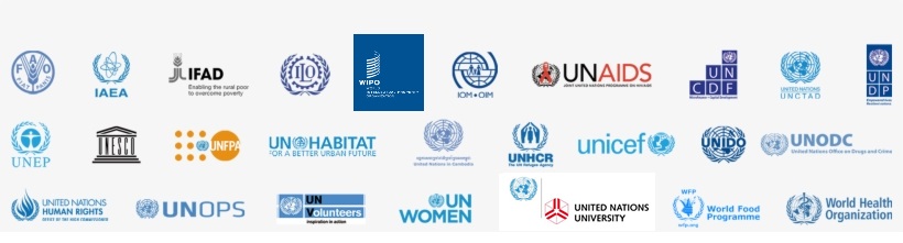 Az ENSZ szervezetei. Kép forrása: unsceb.org