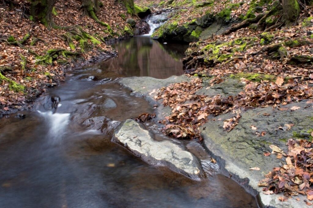 Kép: A kezdeti sziklás terepet elhagyva a mini vízesésekkel szabdalt Apátkúti-patak az erdőben csörgedezve kanyarog tovább.