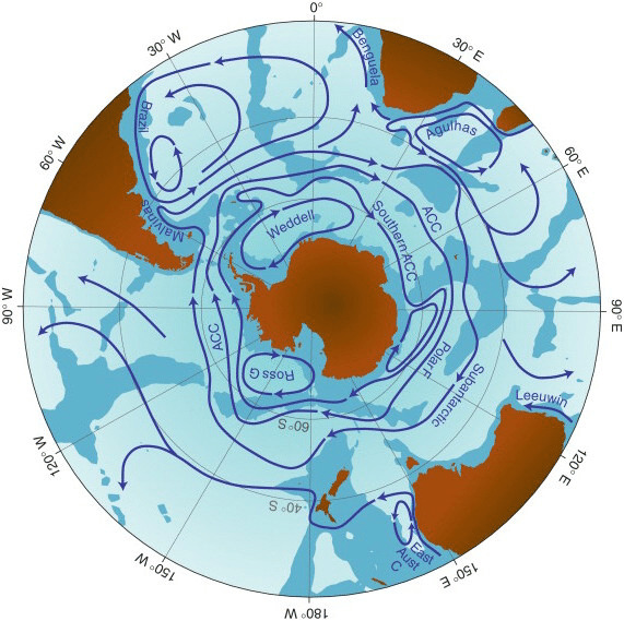 Kép: tengeri áramlások az Antarktisz térségében