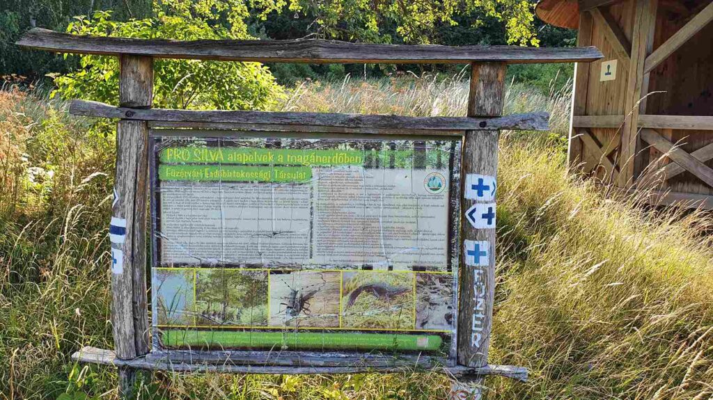Megkopott elvek. A Pro Silva módszert hirdető tábla a zempléni erdőkben. Fotó: Baráz Csaba