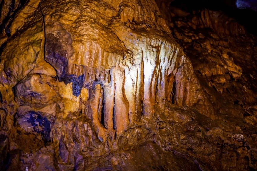 Kép: A Pál-völgyi barlang cseppkőképződményekben, kalcitkristályokban és ősi állatlenyomatokban gazdag, lenyűgözően izgalmas látványvilága könnyen magával ragadja az embert. (Fotó: Gulyás Attila)