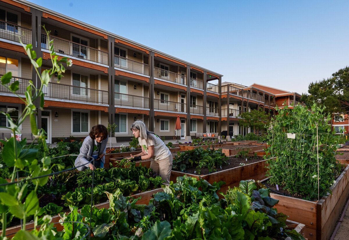 Kép: a cohousing közösségekben nem kell földet művelni, viszont lehet közösségi kert.