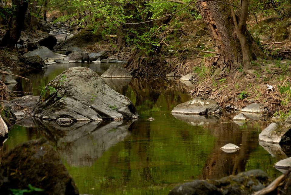 Kép: Cserhát Natúrpark