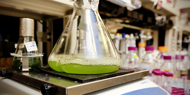 Biodízel: mit kell tudni róla, mennyire fenntartható?